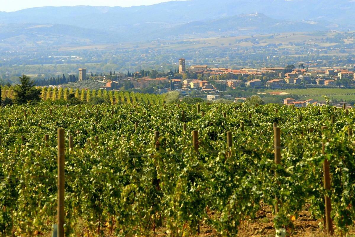 טורג'אנו Agriturismo Wine Casale Villa Chiara מראה חיצוני תמונה